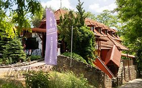 Penzion Nechorka